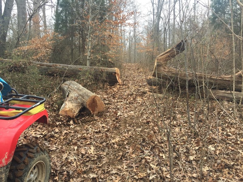 We're working hard to keep the trails open and clear.