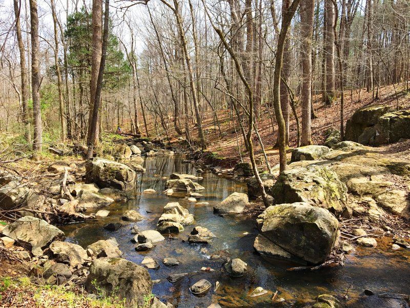 The rocky bottom of Bolin Creek follows the trail for a section.