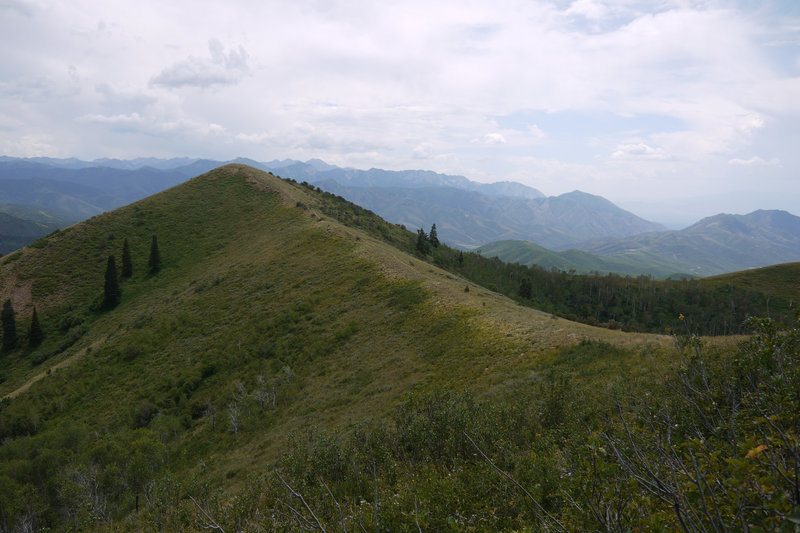 The Great Western Trail follows a ridgeline.