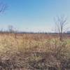 Possum Creek Pink Trail offers pleasant views of the tall-grass prairie.