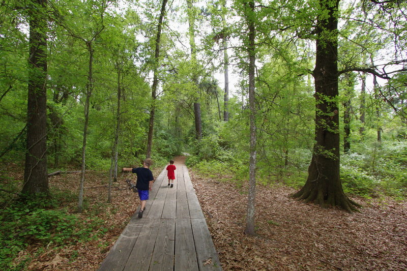 A pair of children take in the sights along the Outer Loop at Houston Arboretum.