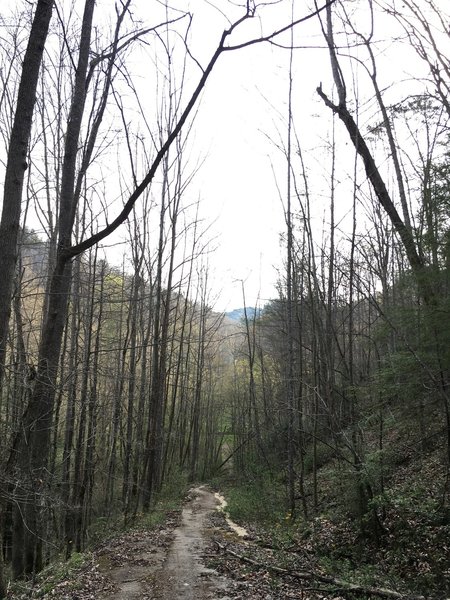 The remains of the old roadbed are still there today.