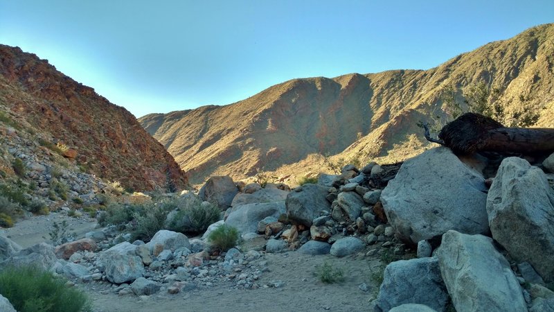 Early morning is a great time to experience the Palm Canyon Trail.