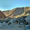 Early morning is a great time to experience the Palm Canyon Trail.