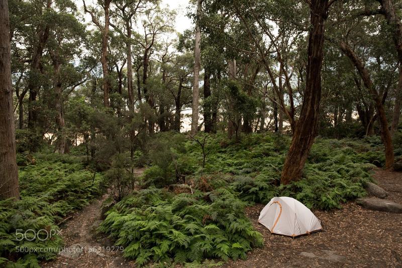 Campsite solitude can be found at Sealers Cove.