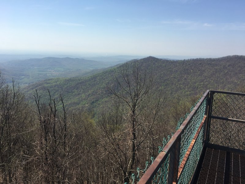 View from Lookout tower