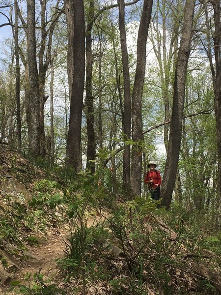 Elm Lick Trail is a pleasant one.