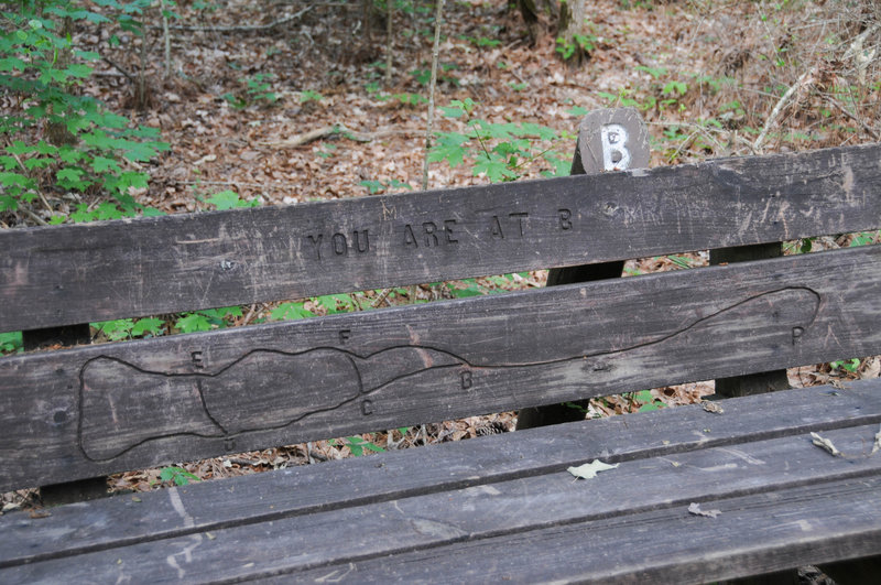 Why drag a park map and a park bench into the forest when you can combine the two?