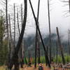 Hike through the open meadow on a wet morning for the full experience.