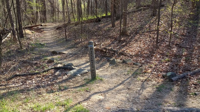 The Hickerson trailhead is marked by this post.