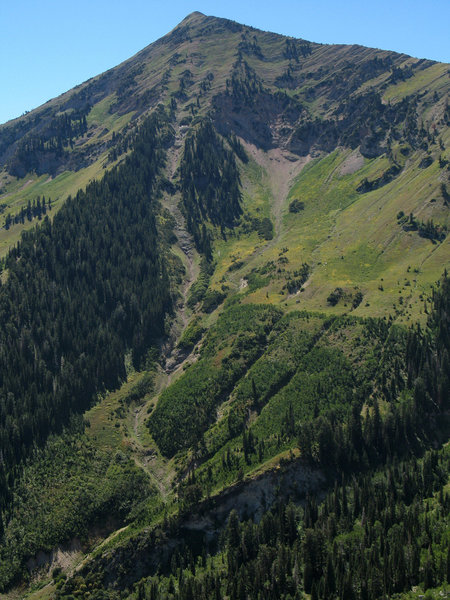 A steep chute runs down the side of Box Elder Peak.