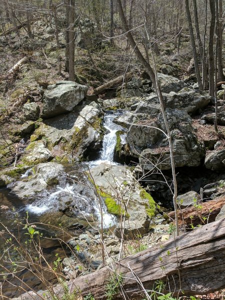 Cedar Run Falls is a pleasant companion along this section of the Cedar Run Trail.