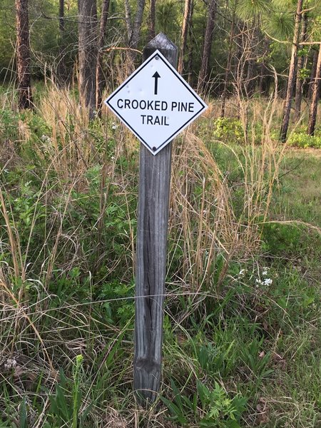 The trailhead is marked by this sign.