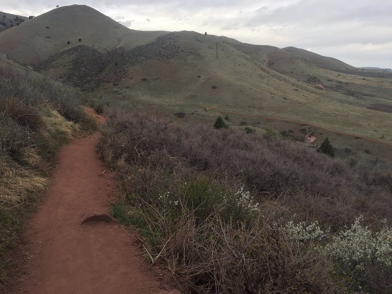 Super smooth trails at Matthews / Winters Park.