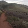 Super smooth trails at Matthews / Winters Park.