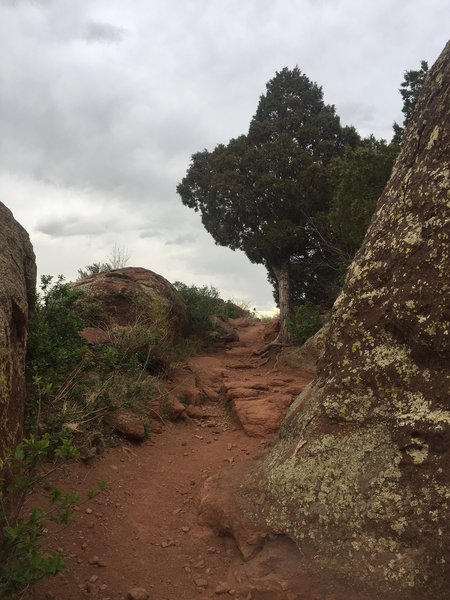 At this point, the climb on the Morrison Slide Trail is almost over.