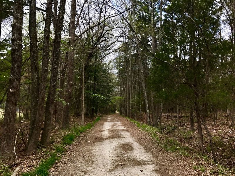 A section of the Prince George Courthouse Road.