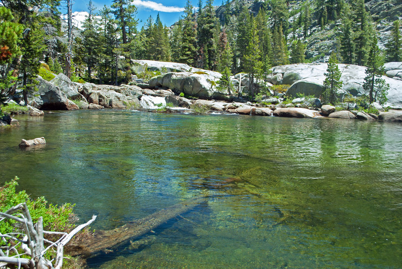 There are many of these pools along Falls Creek in Jack Main Canyon.