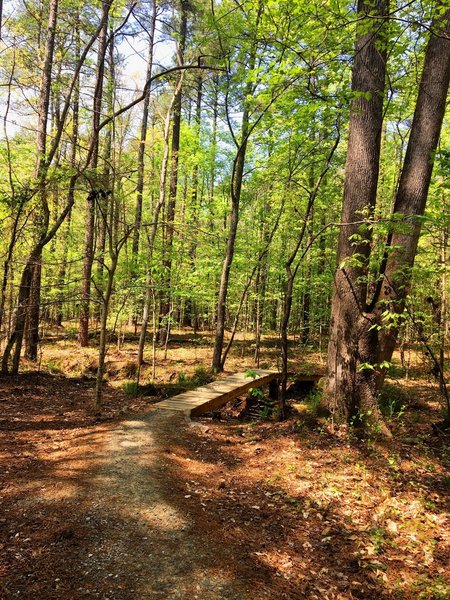 A little bridge adds some razzle dazzle to the trail.