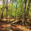 A little bridge adds some razzle dazzle to the trail.