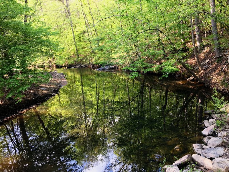 Morgan Creek along the Elephant Rock Trail.