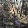 A spring runoff stream on the Clear Creek trail section.