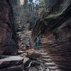 Stairs aid your passage on this part of the Hidden Canyon Trail.