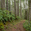 The east end of the Boundary Trail is smooth and beautiful.