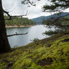 Enjoy a mossy viewpoint on the North Inlet Trail at Skokomish Park at Lake Cushman.