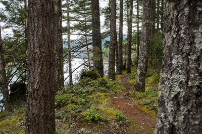 Ribbons of singletrack and lake views make the North Inlet Trail a great option.