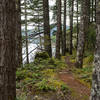 Ribbons of singletrack and lake views make the North Inlet Trail a great option.