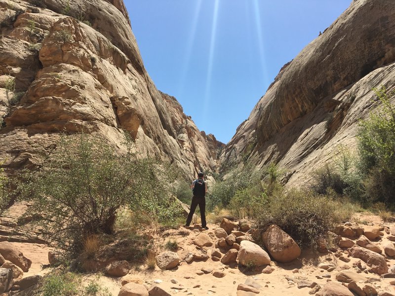 A hiker looks down a side canyon along the gorge.