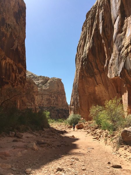 Walk along the gorge to truly experience the towering sandstone walls.