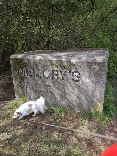This sign marks the entrance to Memory's Vault.
