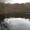 A pond greets you at the end of the trail.