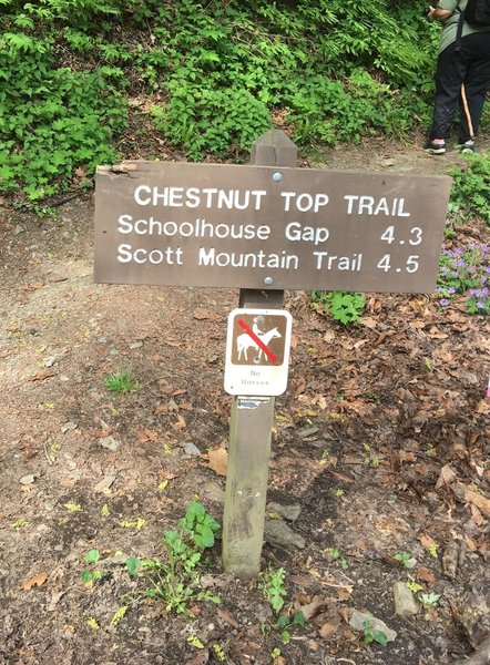 The trailhead for the Chestnut Top Trail is well marked and easy to follow.