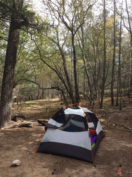 The backcountry site at Camp Texas is a pleasant spot to rest your weary bones after a day on the Tejas Trail.