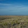 When the trail crests the ridge, views of the desert spread out before you. You can see the park boundary fence and cairns that mark the trail.