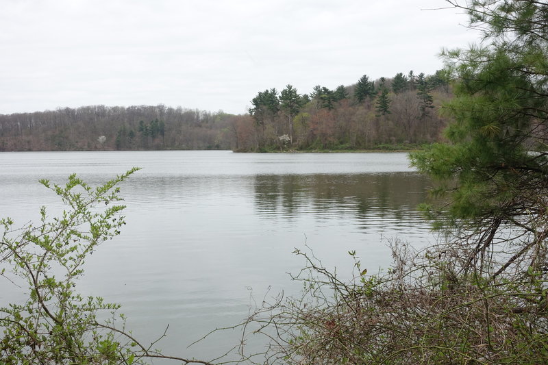 Lake Williams, William Kain Park