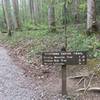 Porters Creek Trailhead is well signed, so you shouldn't have much trouble finding the trail.