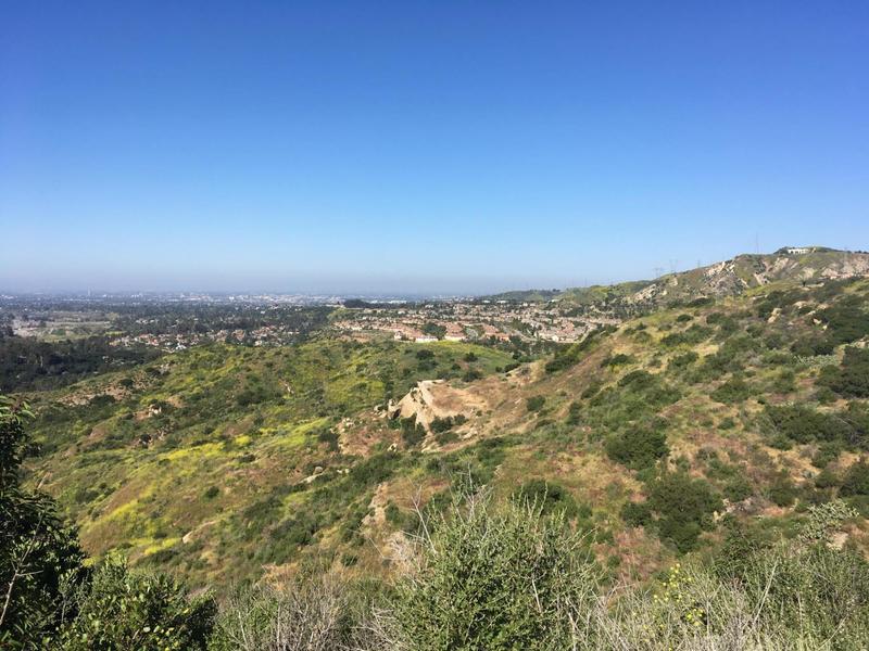 Enjoy this view of the ridgeline from the Peralta Hills Trail. If you look closely, you can see two turkey vultures on the rock.