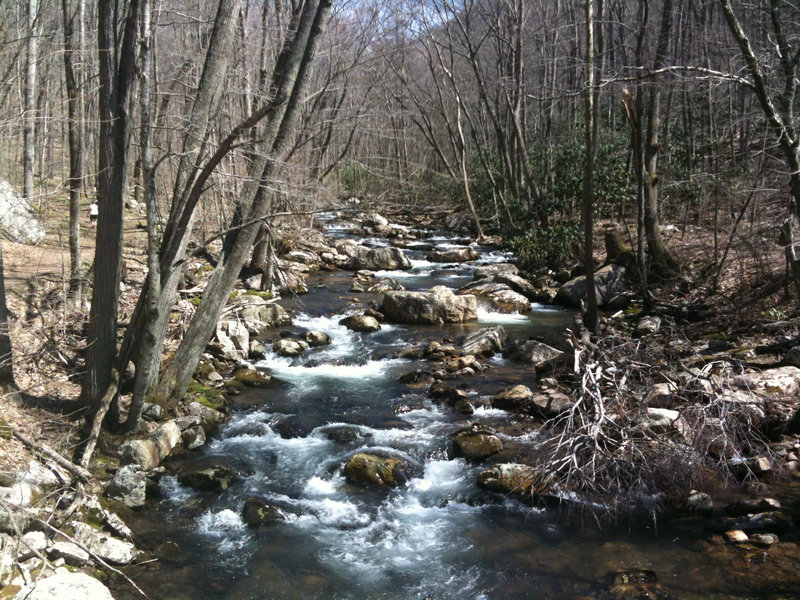 Little Stony Creek along the Cascade Falls Trail.