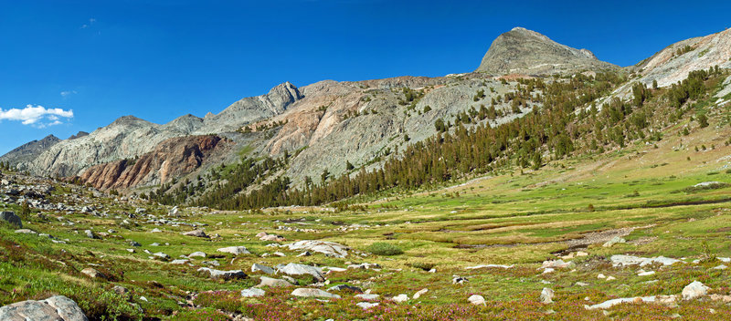 Open meadows below Martha Lake.