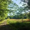 Fallow farmland creates beautiful scenery along the trail.