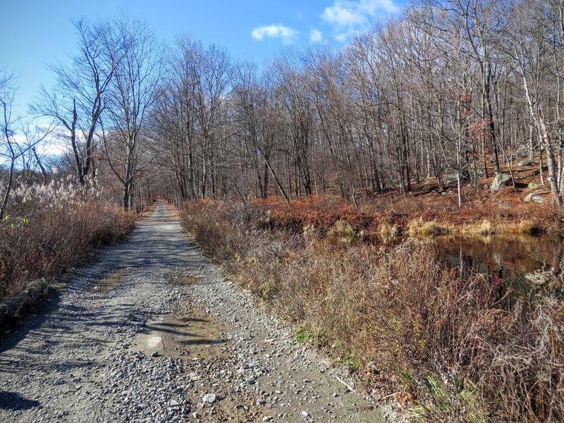 Part of the Yellow Trail intersects with this working road to a pump station just east of here.