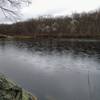 Weldon Brook Lake is a great place to spy turtles, ducks, water snakes, and a great blue heron.