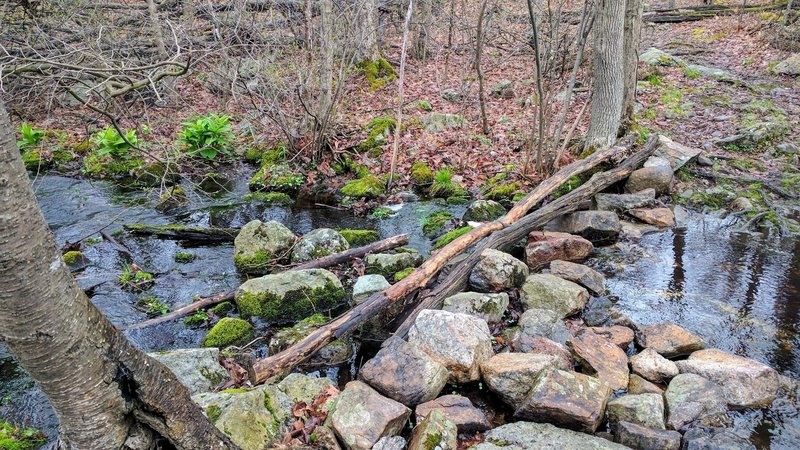 Yellow Trail is a great family hike with many interesting features to keep the kids occupied - like this small brook crossing.