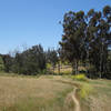 Enjoy this peaceful valley along the Lusardi Creek Loop Trail.