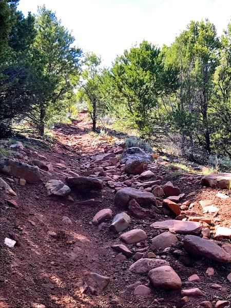 The World's Greatest. A rocky section along the Middle Layer Loop.