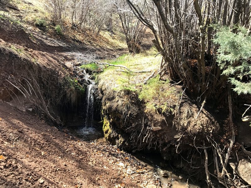 A small waterfall just below a natural spring.